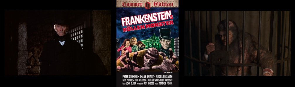 Baron Frankenstein; DVD cover; His Creation